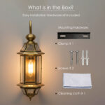 Proudome Clear Glass Outdoor Wall Light with Golden Holder, Decorative Wall Lamp for Garden, Balcony, Patio & Terrace - Image 8