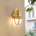 Clear Glass Wall Light (Bulb Not Included)