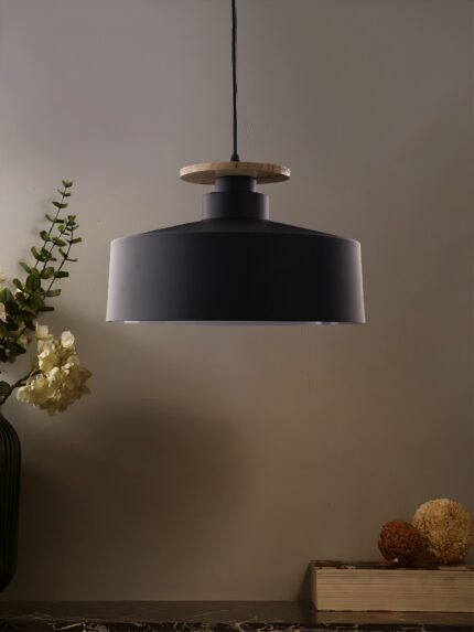 Metal Frame Pendant Hanging Light (Bulb Not Included)
