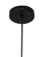 Decorative Indoor Pendant Light (Bulb Not Included) - Image 3