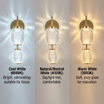Proudome 3 Color Mode LED Acrylic Wall Light | Decorative Gold Finish Designer Wall Sconce - Image 4