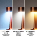 Proudome Rose Gold LED Table Lamp with 3 Color Modes | Touch Bedside Lamp for Bedroom, Study & Living Area - Image 6